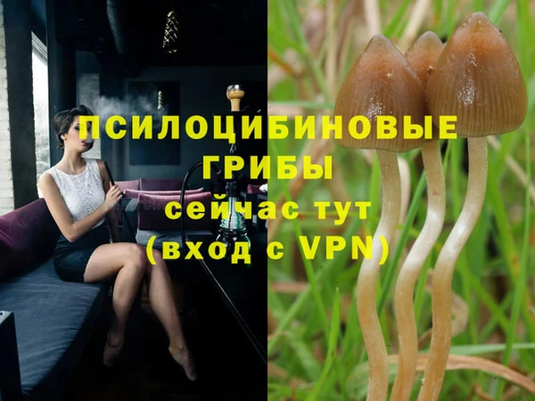 мескалин Заводоуковск