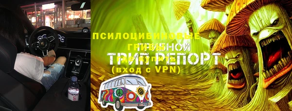 мескалин Заводоуковск