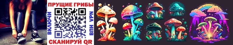 Купить закладки  Новоуральск  Галлюциногенные грибы Magic Shrooms 